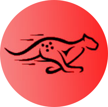 猎豹TK节点网络